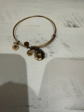 Alex and Ani Gold Charm Bangle Bracelet with Hat Charm